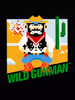 Wild Gunman
