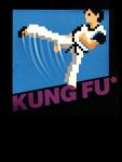 Capa do jogo Kung-Fu Master